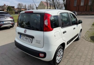 Fiat Panda III Hatchback 5d seria 3 1.2 69KM 2019 Fiat Panda Fiat Panda 1.2 StartampStop Pop 1.2 Benzyna 69KM, zdjęcie 4