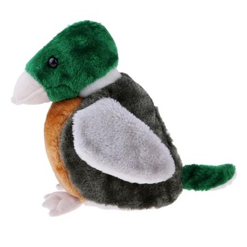 Головной убор, водитель, птица