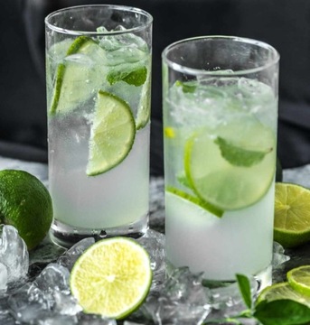 Сироп FruttaMax лаймовый с мятой и бузиной 500мл