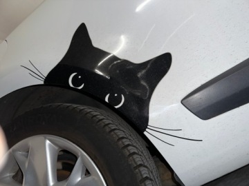 Renault Megane III Coupe 1.6 16v 110KM 2010 Renault Megane III / coupe / 1.6 110 KM / 1. właściciel 2010 niski przebieg, zdjęcie 13