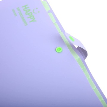 Папка для документов складная с 13 отделениями Biwuar