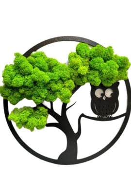 Drzewo Sowa z chrobotka - obraz z naturalnego mchu 30cm