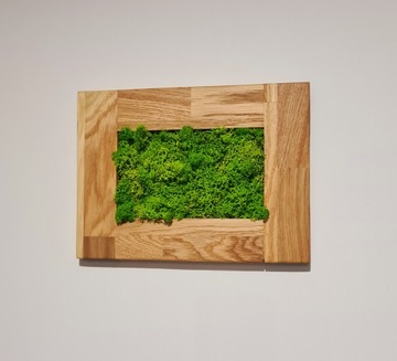 Картина мох Кработек Дубовая рама Картина из мха