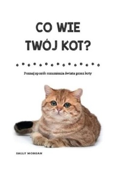 CO WIE TWÓJ KOT? Sally Morgan Poradnik