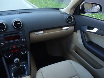 Audi A3 8P Hatchback 3d 1.9 TDI 105KM 2007 Audi A3 1.9 TDI, Klima, Klimatronic, Tempomat,ALU, zdjęcie 7
