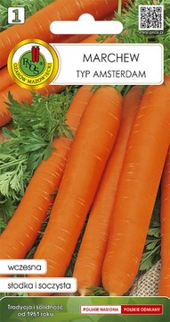 PNOS NASIONA MARCHEW JADALNA AMSTERDAM 2 2G