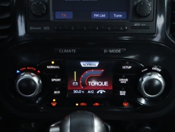 Nissan Juke I SUV 1.6i 117KM 2010 Nissan Juke 1.6 i, Salon Polska, Automat, Skóra, zdjęcie 15