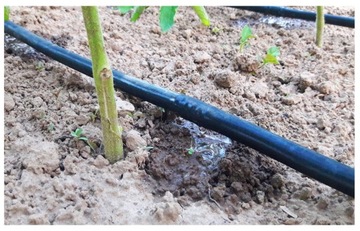 LINIA KROPLUJĄCA NAWODNIENIE KROPELKOWE 100 m 211 El XXL Nawadnianie Ogrodu