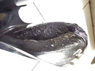 BMW 3 F30 НАРУЖНОЕ ЗЕРКАЛО ЛЕВОЕ 6 PIN