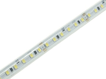 TAŚMA LED 24V 9,6W 600 SMD IP68 Biały Zimny 6000K