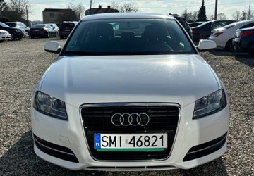 Audi A3 8P Hatchback 3d 1.6 102KM 2010 Audi a3 Instalacja gazowa 1.6 BenzynaLPG 102KM, zdjęcie 7