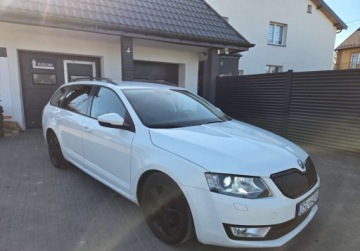 Skoda Octavia 2014 Skoda Octavia Swiezo sprowadzony Zarejestrowany. 1.6 Diesel 105KM, zdjęcie 2