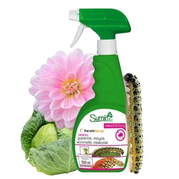 KARATE SPRAY RTU ZWALCZA SZKODNIKI MSZYCE GĄSIENICE GOTOWY DO UŻYCIA 500ML