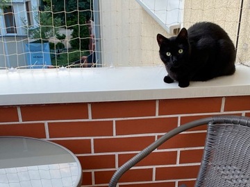 СЦЕПКА 80x ДЛЯ УСТАНОВКИ БАЛКОННОЙ СЕТКИ ДЛЯ КОШЕК-ПТИЦ БЕЗ СВЕРЛЕНИЯ + КЛЕЙ