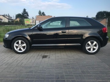 Audi A3 8P Hatchback 3d 1.6 102KM 2009 Audi A3 1.6 MPI 102 KM, zdjęcie 2