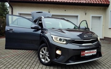 Kia Stonic I Crossover 1.2 DOHC 84KM 2018 Kia Stonic Filmik VIDEO Oryginal Przebieg Bogata Wersja NAVI Kamerka podg., zdjęcie 2