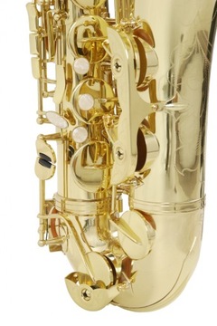 Тенор-саксофон ROY BENSON TS-302 Bb
