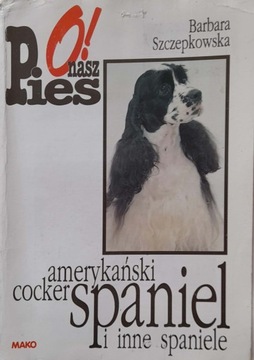 Cocker spaniel angielski i amerykański