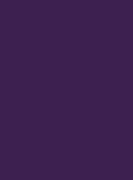 BRYSTOL A3 29,7x42 185G CANSON IRIS JAGODOWY