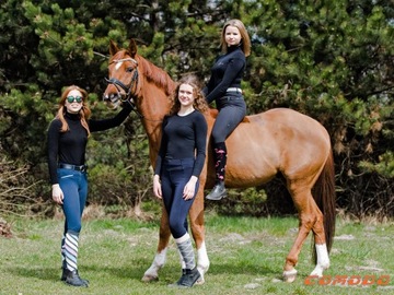 Разноцветные сапоги Comodo для верховой езды APPLES