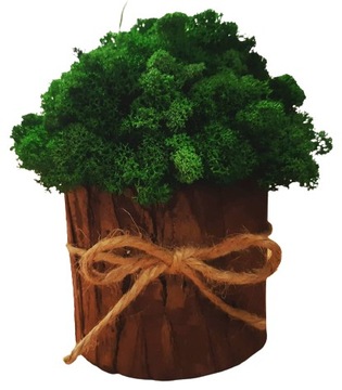 DEKORACJA MECH CHROBOTEK KUBEŁEK OZDOBA DO DOMU