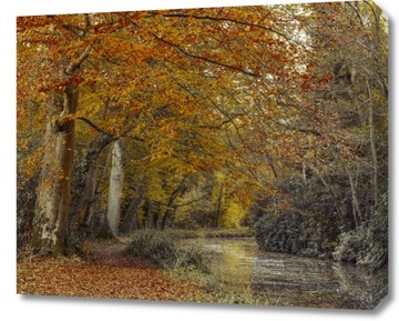 Obraz 60x50cm Ścieżka przy kanale, Assaf Frank