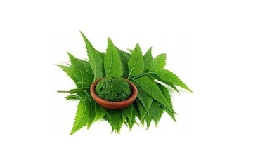 HIMALAYA ОЧИЩАЮЩАЯ ПЕНКА ДЛЯ УМЫВАНИЯ ЛИЦА