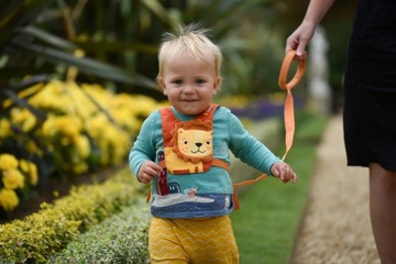 Ремни безопасности LittleLife - Лев