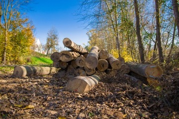Опора для томатов, кол 40см 22 2 шт.