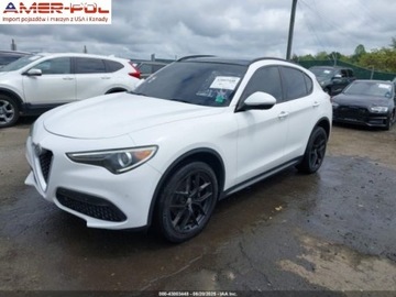 Alfa Romeo Stelvio SUV 2.0 Turbo 280KM 2018 Alfa Romeo Stelvio 2018 Alfa Romeo Stelvio Ti Sport AWD 2.0 Benzyna 280KM