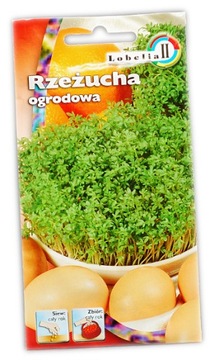 Nasiona RZEŻUCHA OGRODOWA Lobelia 10g - 50 szt.