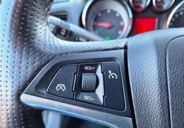 Opel Insignia I Sports Tourer 2.0 CDTI ECOTEC 160KM 2009 Opel Insignia 2,0 CDTI 160 Xenon Navi 2.0 Diesel 160KM, zdjęcie 19