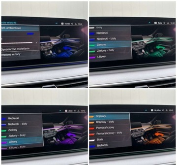 BMW Seria 5 G30-G31 Touring Facelifting 2.0 520d 190KM 2021 BMW Seria 5 BMW Seria 5 520d Luxury Line sport 2.0 Diesel 190KM, zdjęcie 17