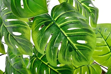 МОНСТЕРА РОДОДЕНДРОН ИСКУССТВЕННЫЕ ЦВЕТЫ ЦВЕТОЧНЫЙ ГОРШОК КОМПОЗИЦИЯ ЛИСТЬЯ ПОДАРОК