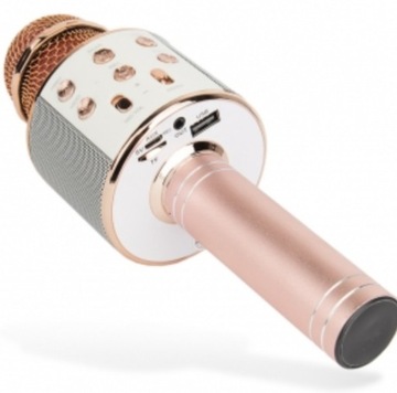 НАБОР «ИГРАЙ И ПОЙ ЗВОНКИ» КАРАОКЕ микрофон