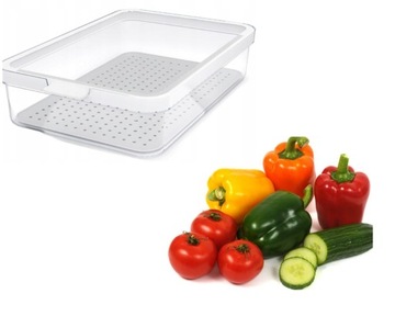 ROTHO Organizer pojemnik do lodówki szafki na warzywa owoce 2,6 L CAUMA
