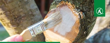 ДЕНДРОМАЛЬНАЯ САДОВАЯ МАЗЬ 0,35 КГ ПАСТА ДЛЯ РЕЖУЩИХ РАН ЗАЩИТА РАН