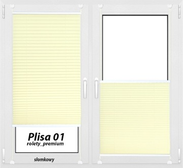 Roleta plisa / plisowana Rolety_Premium 54x100