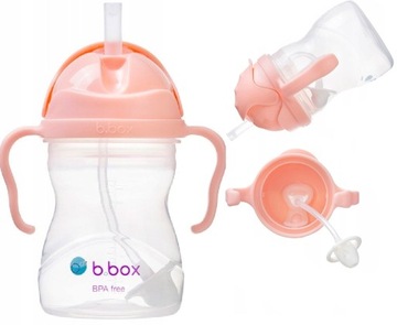 B.Box Бутылка с трубочкой 240мл Tutti Frutti