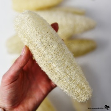 ЛЮФА ЛЮФА НАТУРАЛЬНАЯ ГУБКА ДЛЯ МЫТЬЯ РАСТЕНИЙ