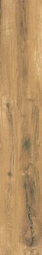 RUSTLAND NATURALE 2.0 STR R11 REKTYFIK PARADYŻ 30*120 G2 m2 zamów