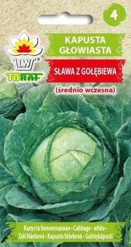 Kapusta głowiasta Sława z Gołębiewa Nasiona 2g