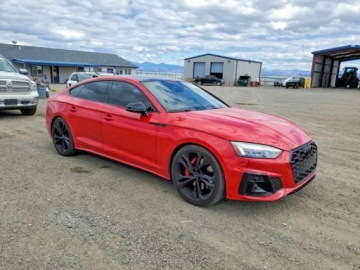 Audi A5 B10 2024 Audi S5 Sportback Prestige 2024 3.0 Benzyna 349KM, zdjęcie 4
