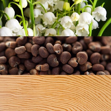 Calvin Klein Beauty 100 мл парфюмированная вода для женщин EDP