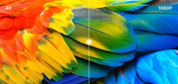 Android-телевизор 55 дюймов Xiaomi Mi P1E L55M7-7AEU 4K Dolby Vision DVB-T2