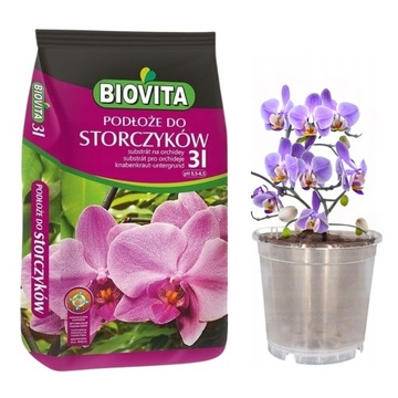 ZIEMIA PODŁOŻE DO STORCZYKÓW ORCHIDEI Z NAWOZEM BIOVITA 3L