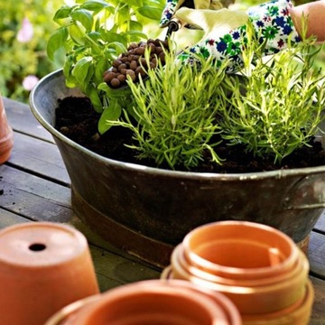 САДОВОДСТВО LECA ДРЕНАЖ ПОЧВЫ И ОВОЩЕЙ СУБСТРАТ КЕРАМИКА В ГОРШКАХ 20л