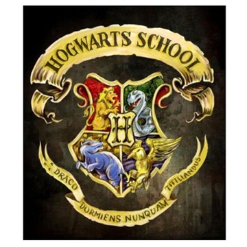 HAFT DIAMENTOWY HARRY POTTER HOGWARTS SCHOOL 30x40CM