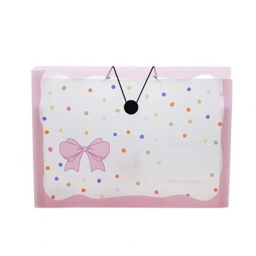 Widely Use Document Folder Transparent Storage