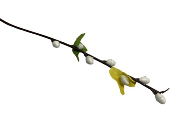КАТТИ ФОРСИТИЯ ПЕРЕХОДЫ CLICK FLOWERS TRANGE